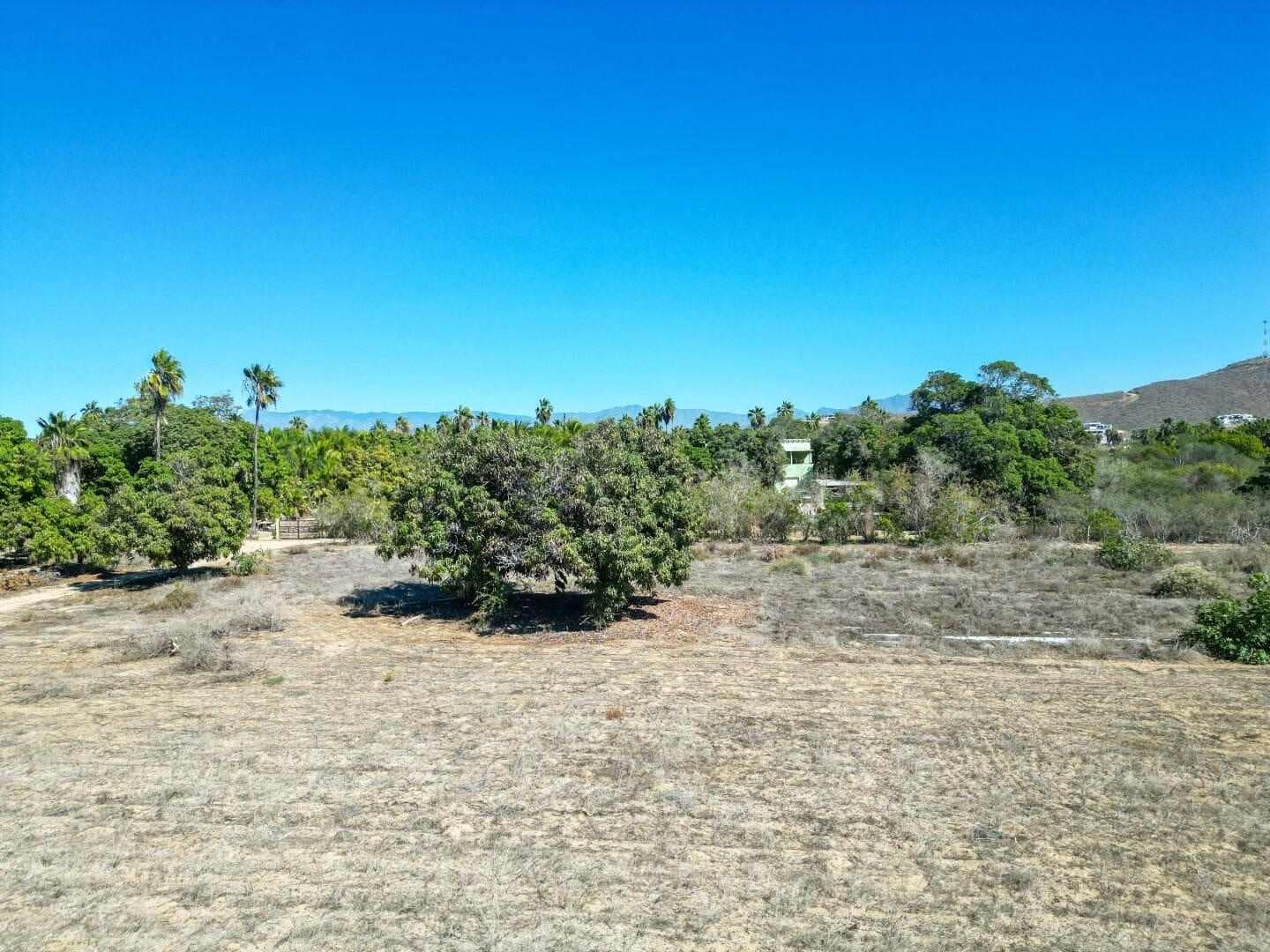 Property image 2 – properties in Pescadero cabo