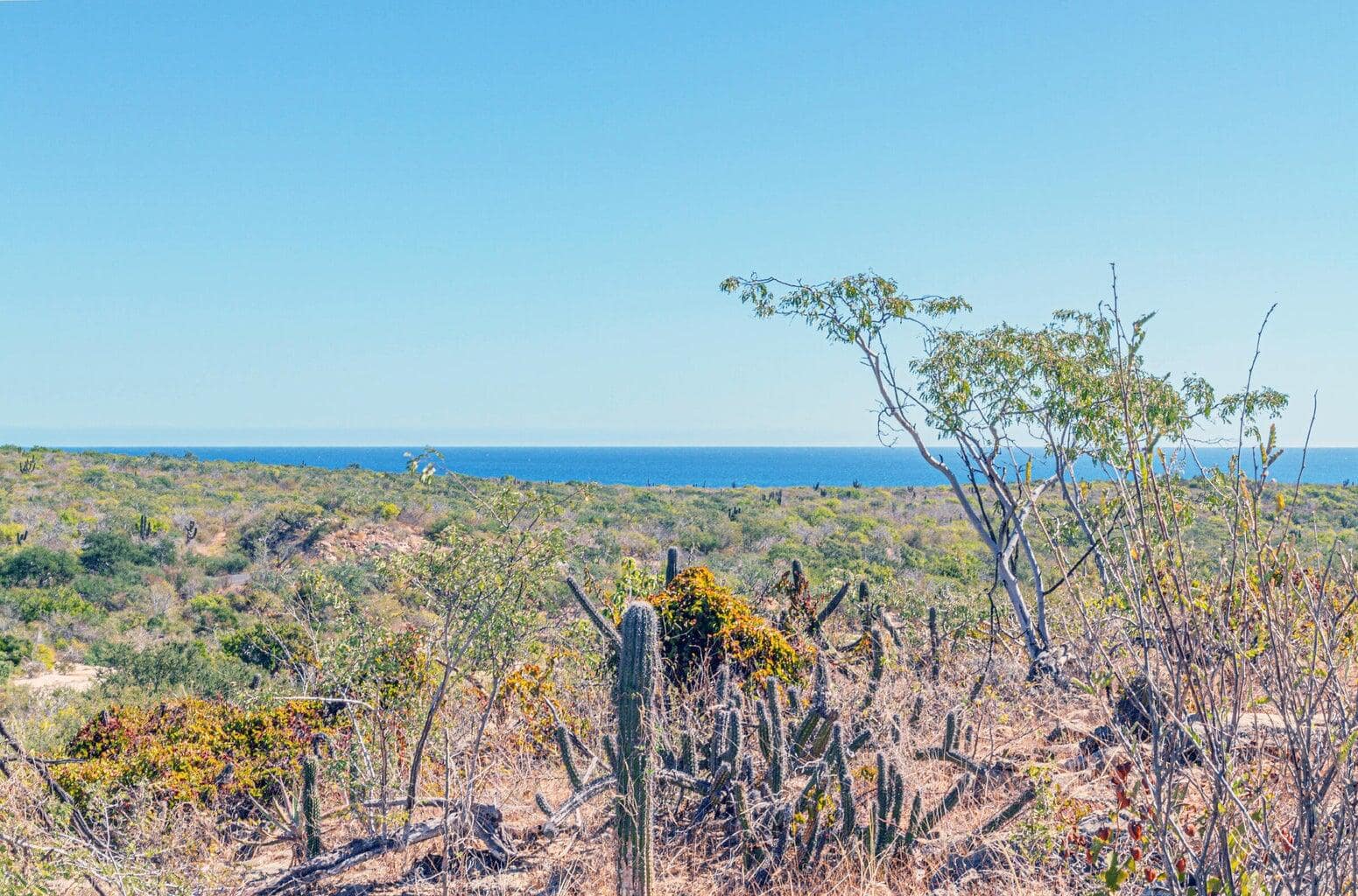 Laguna Hills Block 3 Lot, San Jose del Cabo, Baja California Sur – properties in SJD N,W of 1:General cabo