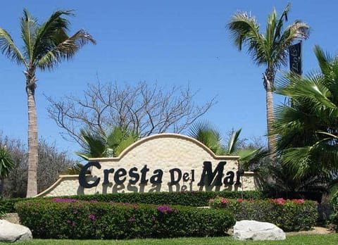 Phase II 7 20180129165833779227000000 1